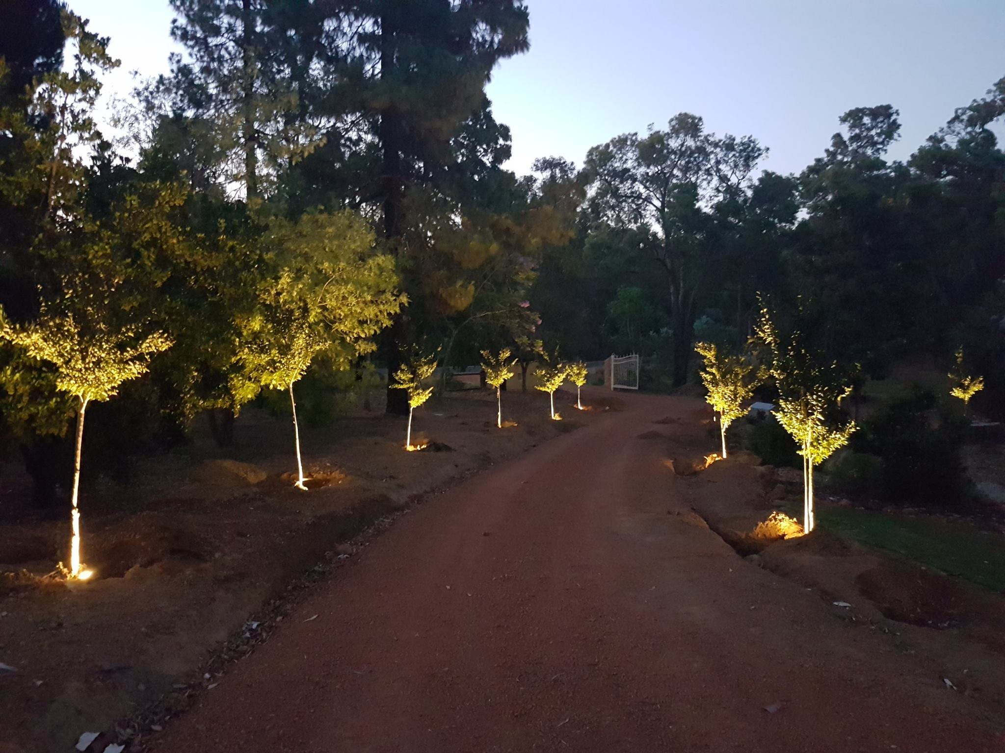 Driveway Lights